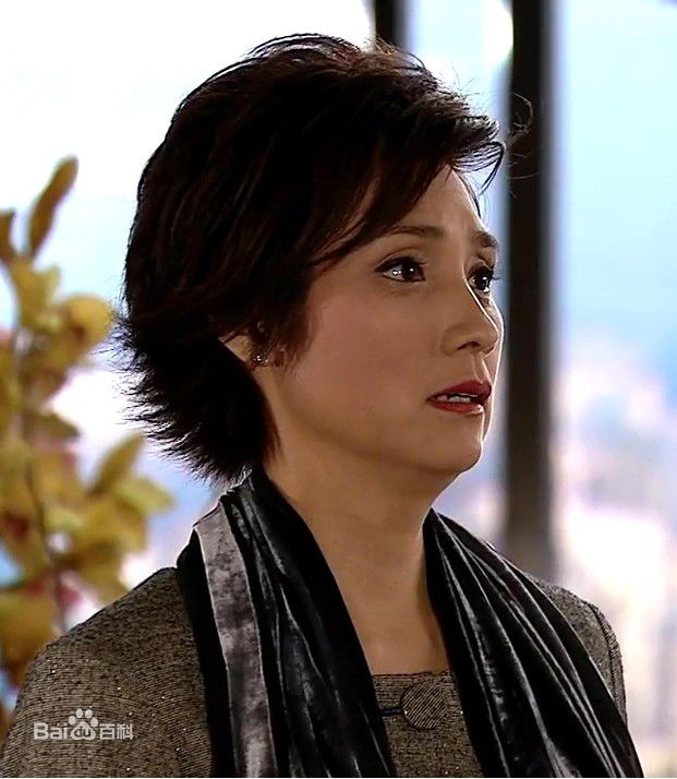 戚美珍(Jaime Chik Mei Chun)2009年《富贵门》高清剧照