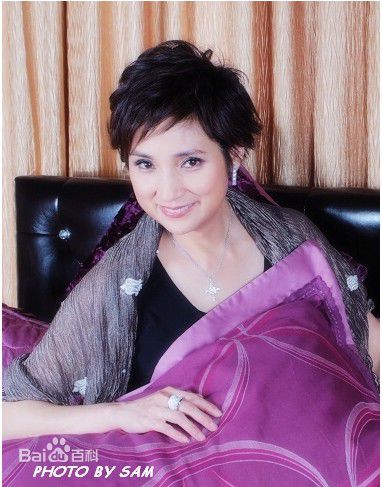 戚美珍(Jaime Chik Mei Chun)广告代言图片图集