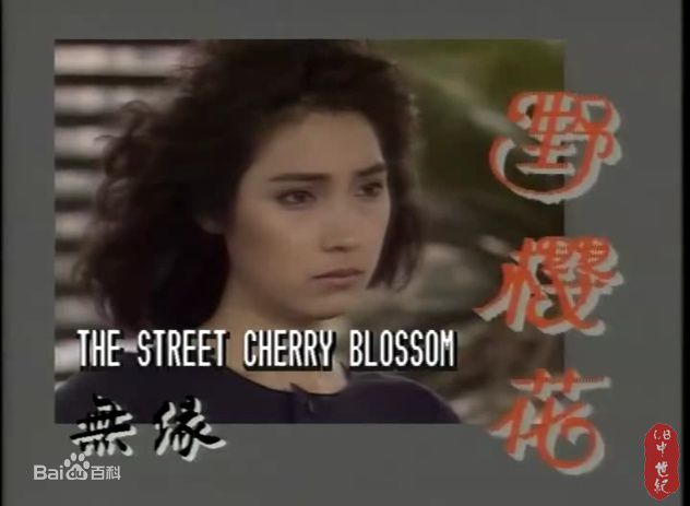 最新戚美珍(Jaime Chik Mei Chun)壁纸