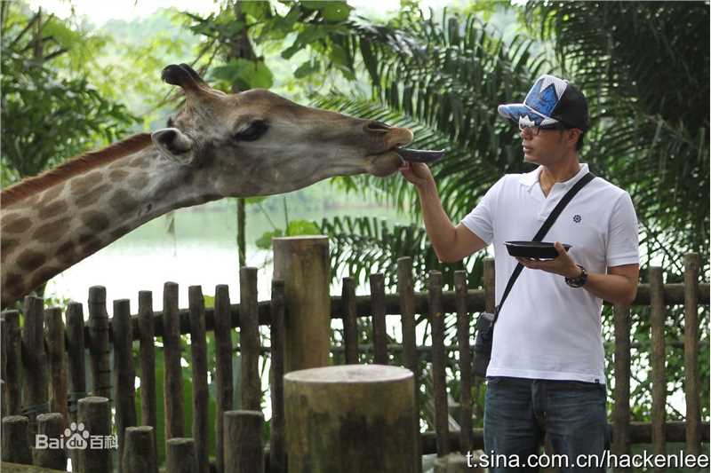 李克勤(Hacken Lee)相册前后照片