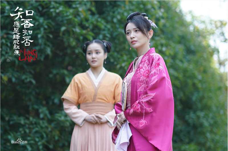 施诗(Kira)《知否知否应是绿肥红瘦》剧照