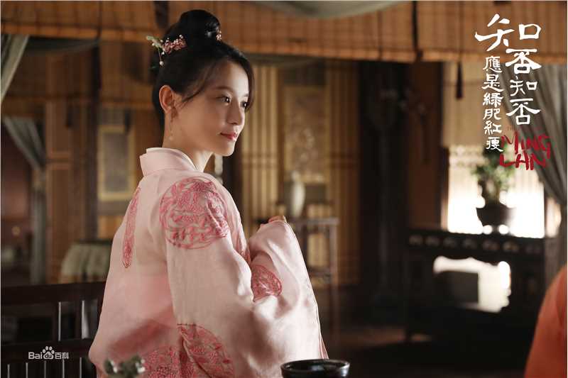 施诗(Kira)《知否知否应是绿肥红瘦》剧照