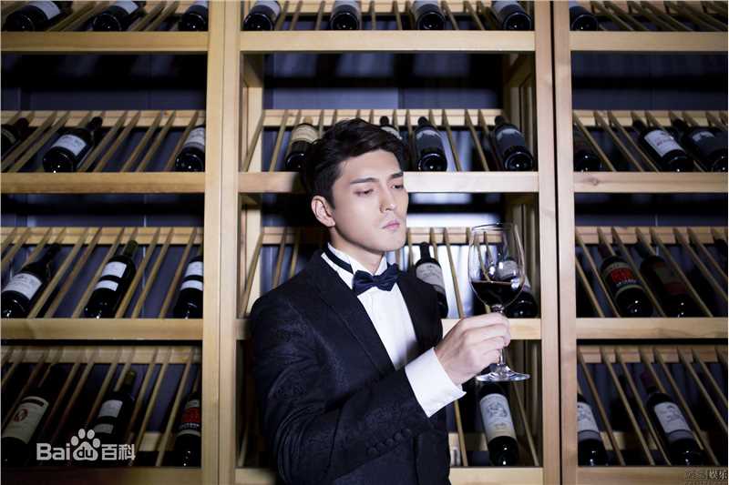 隋咏良最优质（2）