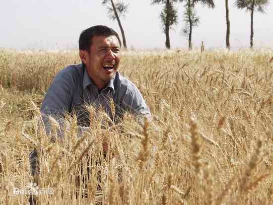 最新姚安濂精彩图册