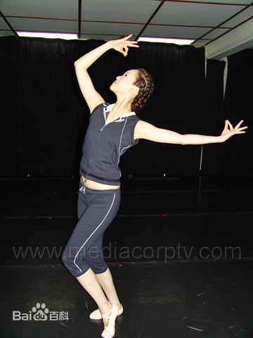 范文芳(Fann Wong)特写图集性感图片图集