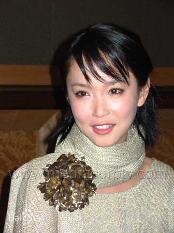 范文芳(Fann Wong)特写图集性感图片图集