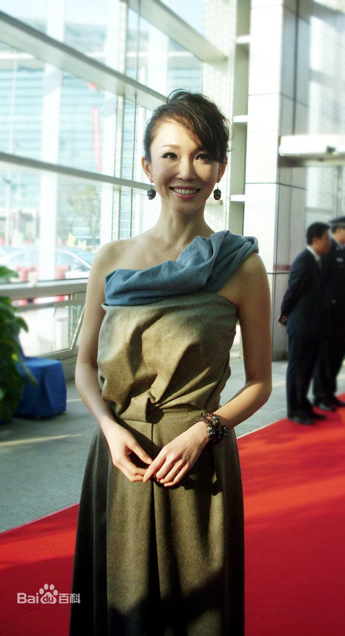 范文芳(Fann Wong)获奖图片图册