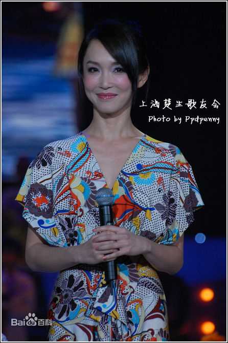范文芳(Fann Wong)获奖图片图册