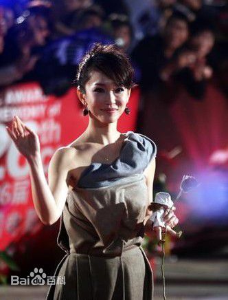 范文芳(Fann Wong)获奖图片图册