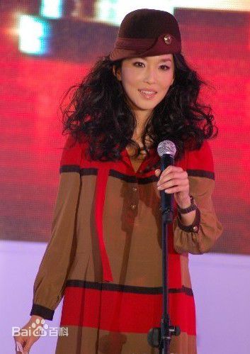 范文芳(Fann Wong)参加电影节性感图片图集