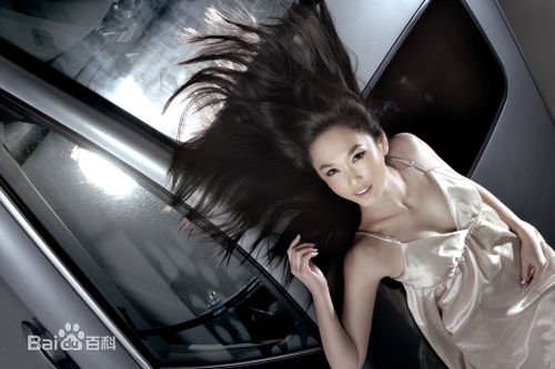 范文芳(Fann Wong)最全杂志壁纸