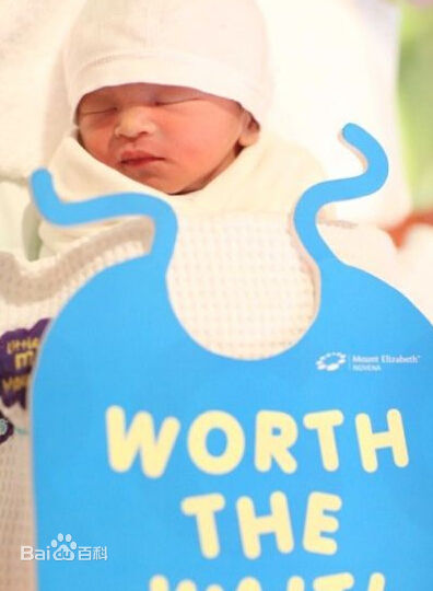 最优质范文芳(Fann Wong)生活照