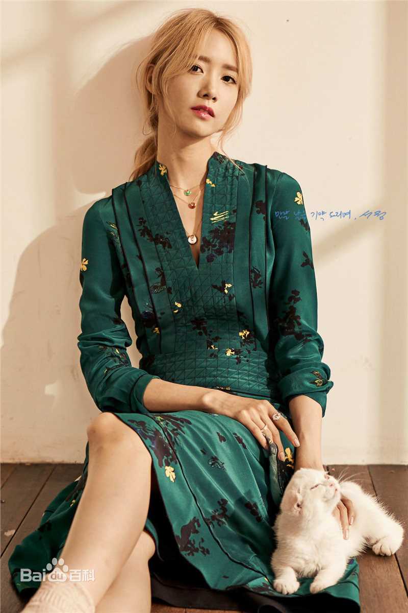 最全林允儿(Lim Yoon A、 、ユナ)在《hight cut》中的壁纸