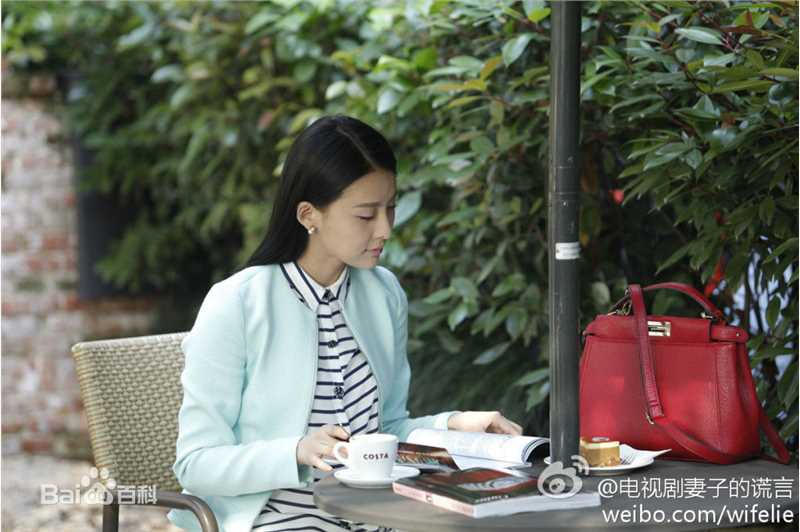 贾清(TingAnne)《妻子的谎言》精选剧照