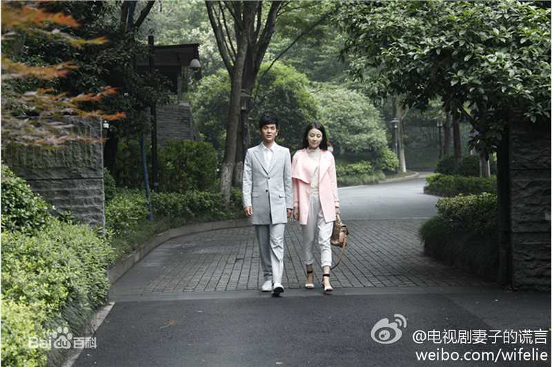 贾清(TingAnne)《妻子的谎言》精选剧照