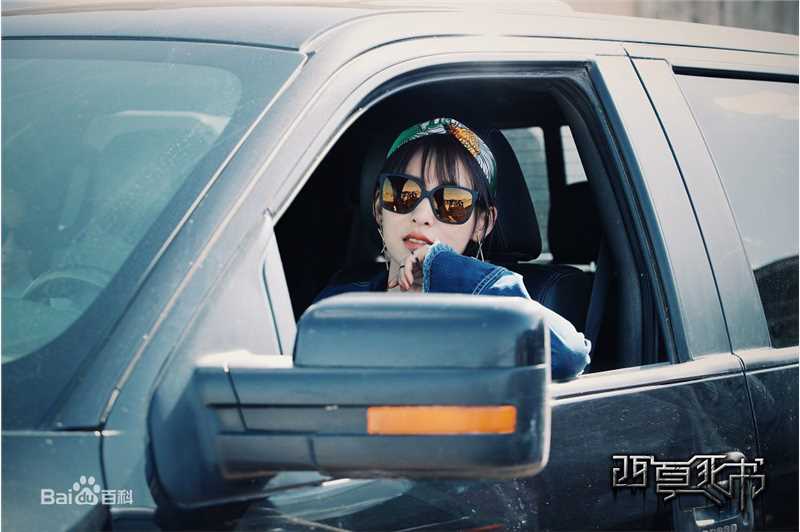 贾清(TingAnne)《西夏死书》最全剧照