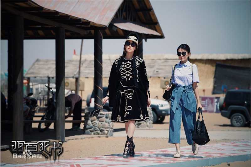 贾清(TingAnne)《西夏死书》最全剧照