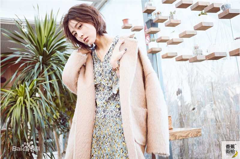 贾清(TingAnne)贾青香蕉街拍图片图册