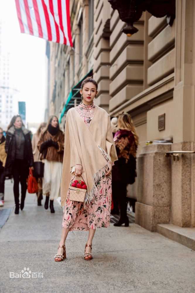 贾清(TingAnne)2018纽约时装周素颜照壁纸