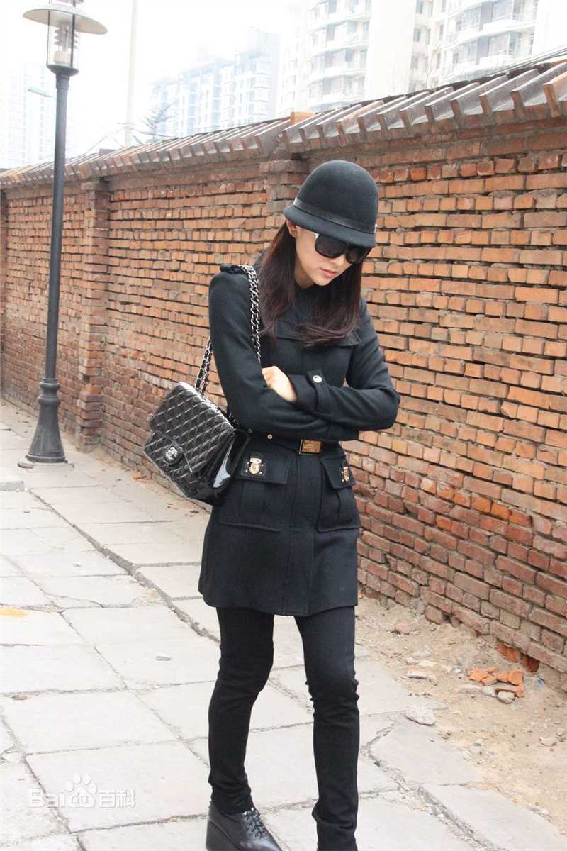 精选贾清(TingAnne)贾青精彩图册