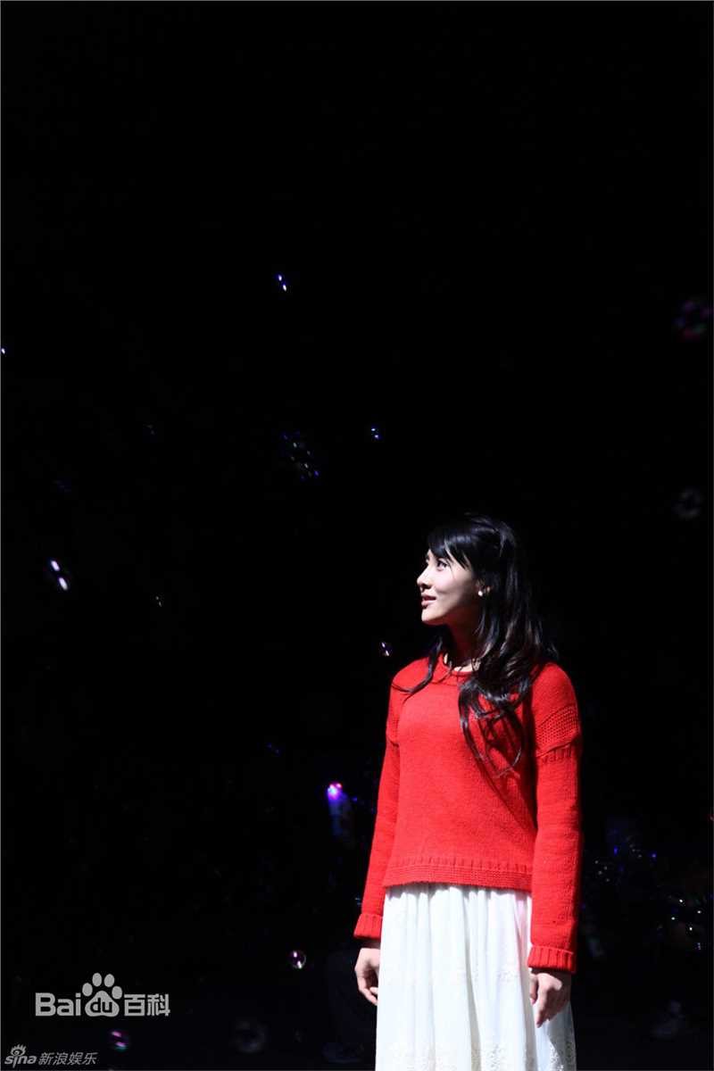 精选贾清(TingAnne)贾青精彩图册