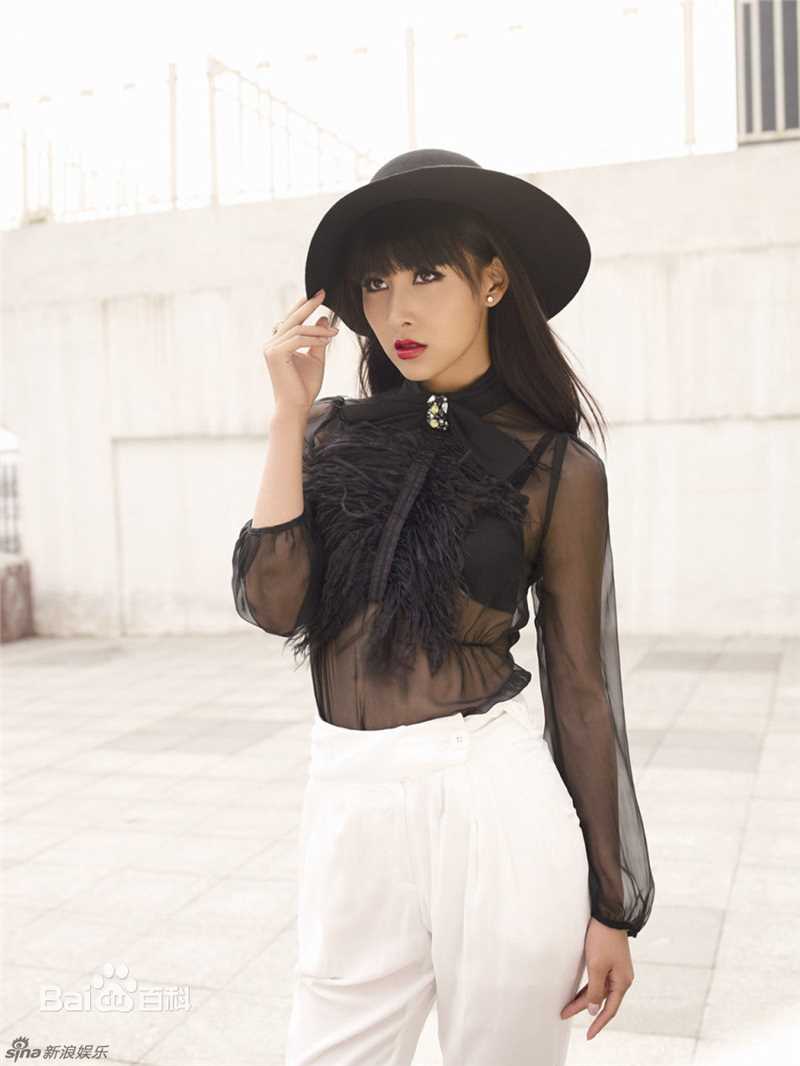 精选贾清(TingAnne)贾青精彩图册