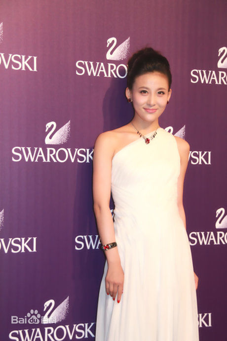 精选贾清(TingAnne)贾青精彩图册