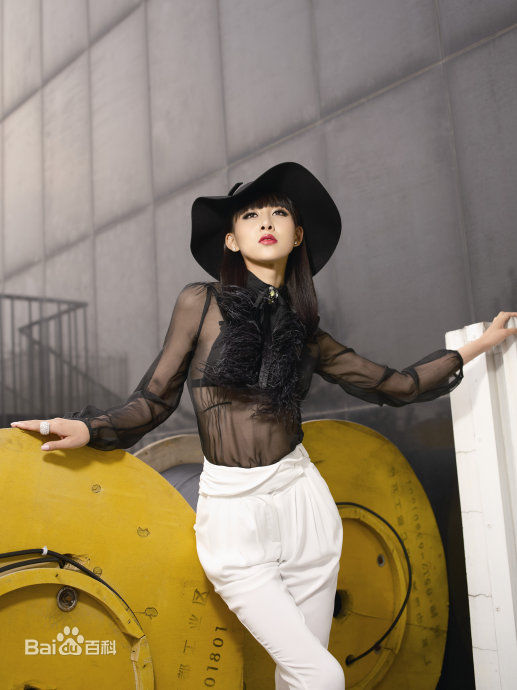 精选贾清(TingAnne)贾青精彩图册