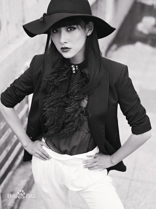 精选贾清(TingAnne)贾青精彩图册