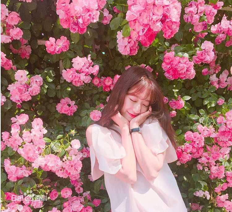 朴信惠((韩)、Park Shin Hye(罗马)、パク-シネ(日))生活图片图册