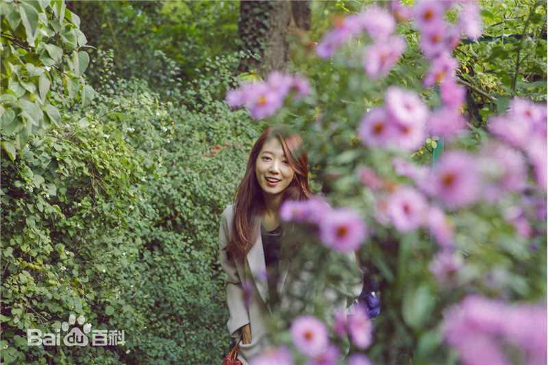 朴信惠((韩)、Park Shin Hye(罗马)、パク-シネ(日))生活图片图册