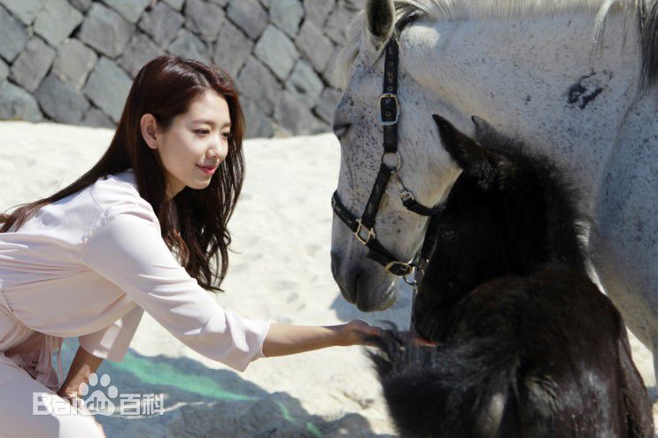 朴信惠((韩)、Park Shin Hye(罗马)、パク-シネ(日))生活图片图册