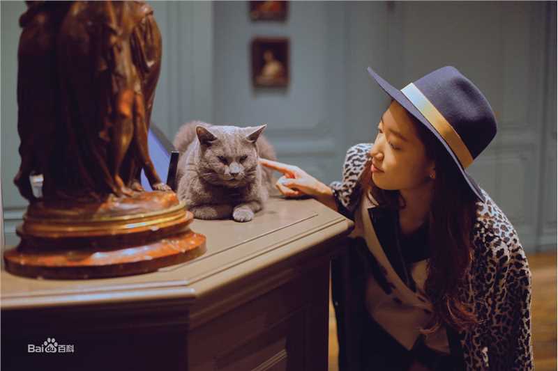 朴信惠((韩)、Park Shin Hye(罗马)、パク-シネ(日))生活图片图册