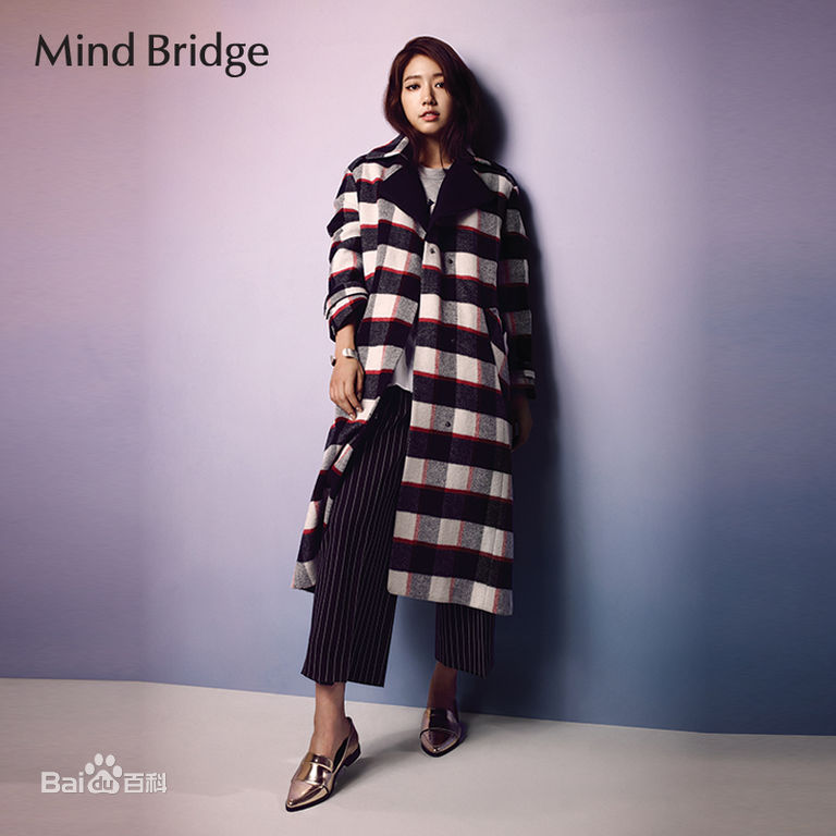 朴信惠((韩)、Park Shin Hye(罗马)、パク-シネ(日))MindBridge图册