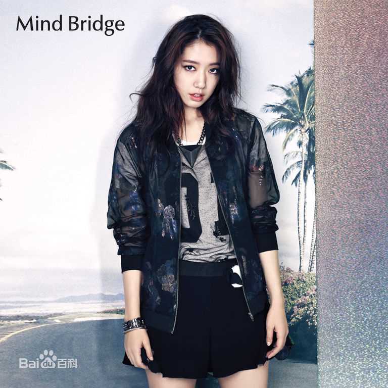 朴信惠((韩)、Park Shin Hye(罗马)、パク-シネ(日))MindBridge图册