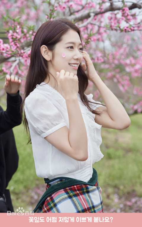 朴信惠((韩)、Park Shin Hye(罗马)、パク-シネ(日))梦妆图册