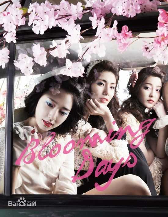 高清朴信惠((韩)、Park Shin Hye(罗马)、パク-シネ(日))精彩图册