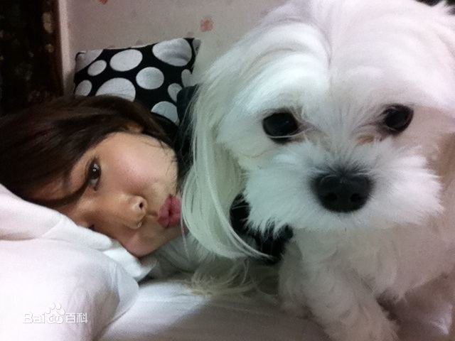 朴信惠((韩)、Park Shin Hye(罗马)、パク-シネ(日))精彩图册