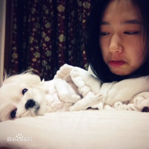 最全朴信惠((韩)、Park Shin Hye(罗马)、パク-シネ(日))精彩图册