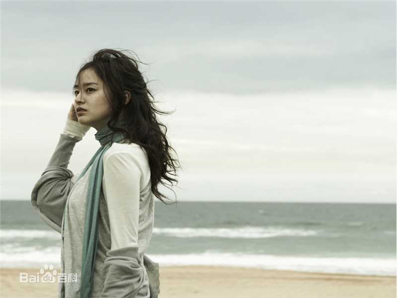 金泰希（正译）(（韩文）、Kim Tae Hee（英文）)天然美女素颜照相册