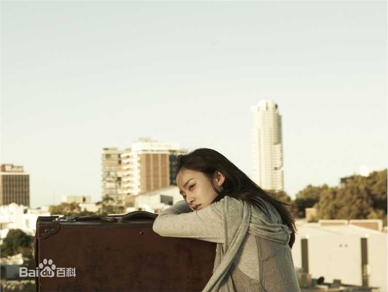 金泰希（正译）(（韩文）、Kim Tae Hee（英文）)天然美女素颜照相册