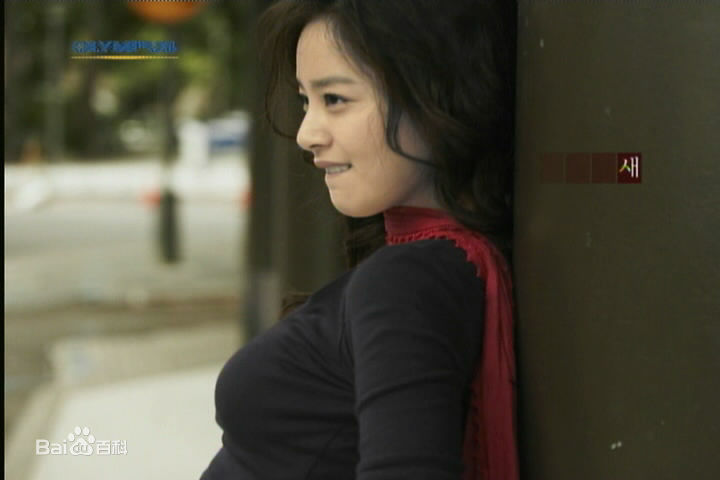 金泰希（正译）(（韩文）、Kim Tae Hee（英文）)天然美女素颜照相册