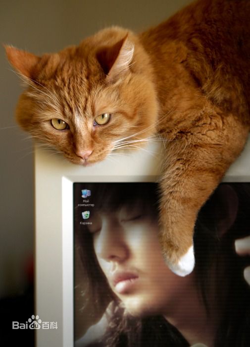 高清刘亚仁(Yoo Ah In、ユアイン)精彩图册