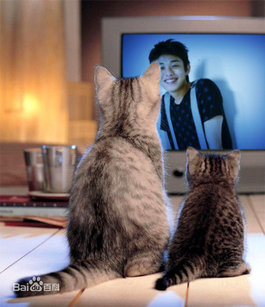 最全刘亚仁(Yoo Ah In、ユアイン)精彩图册