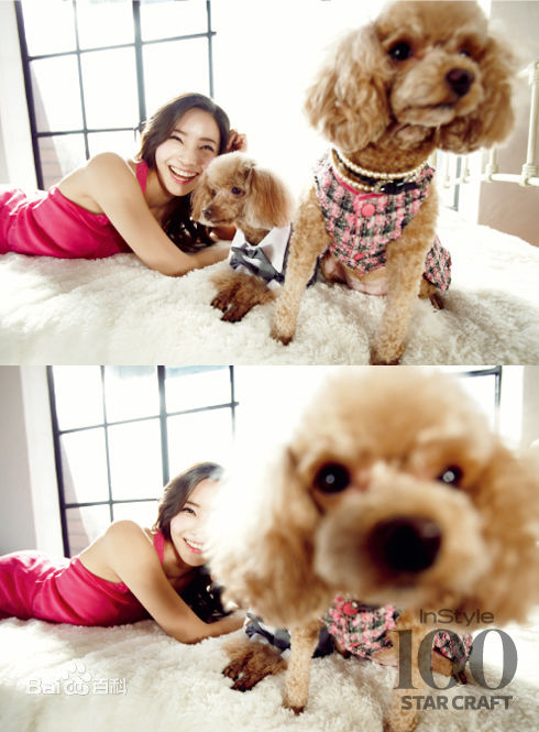 最优质韩彩英(Han Chae Young、)精彩图册