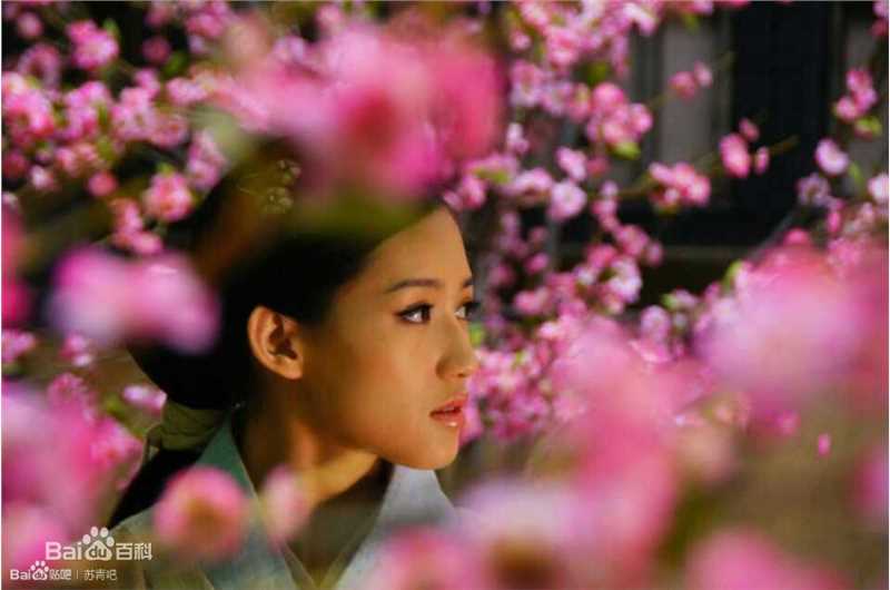 苏青(Su Qing)在《云中歌》许平君中的