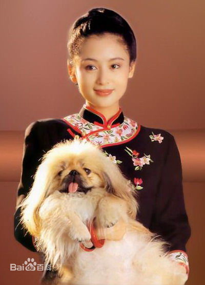 最新陈红性感图片