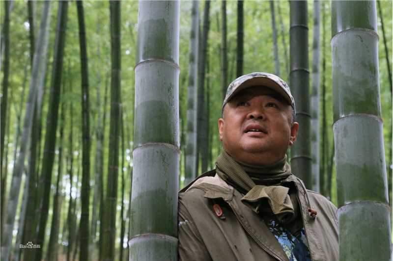 最全宁海强壁纸