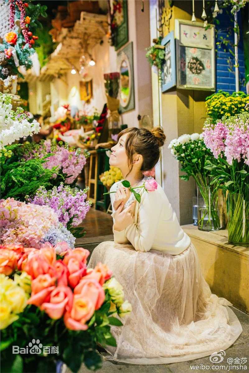 金莎(Kym)最全3壁纸