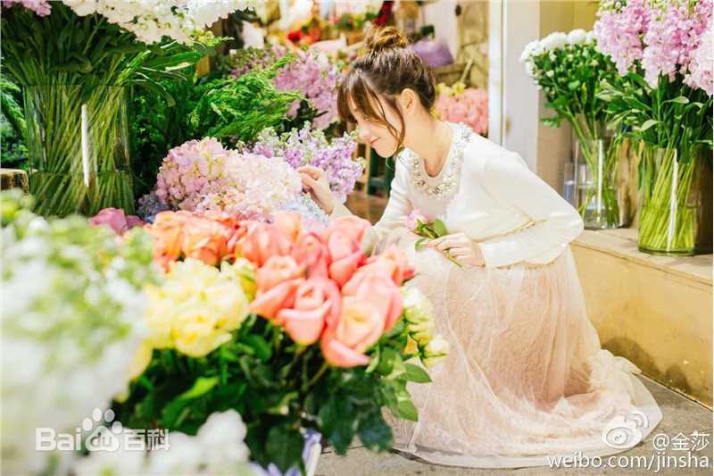 金莎(Kym)最全3壁纸